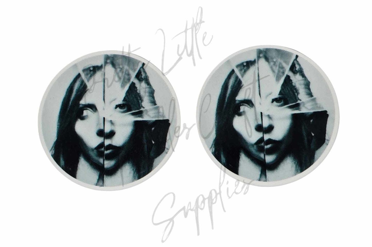 Lady Gaga - Album Alternative Look
