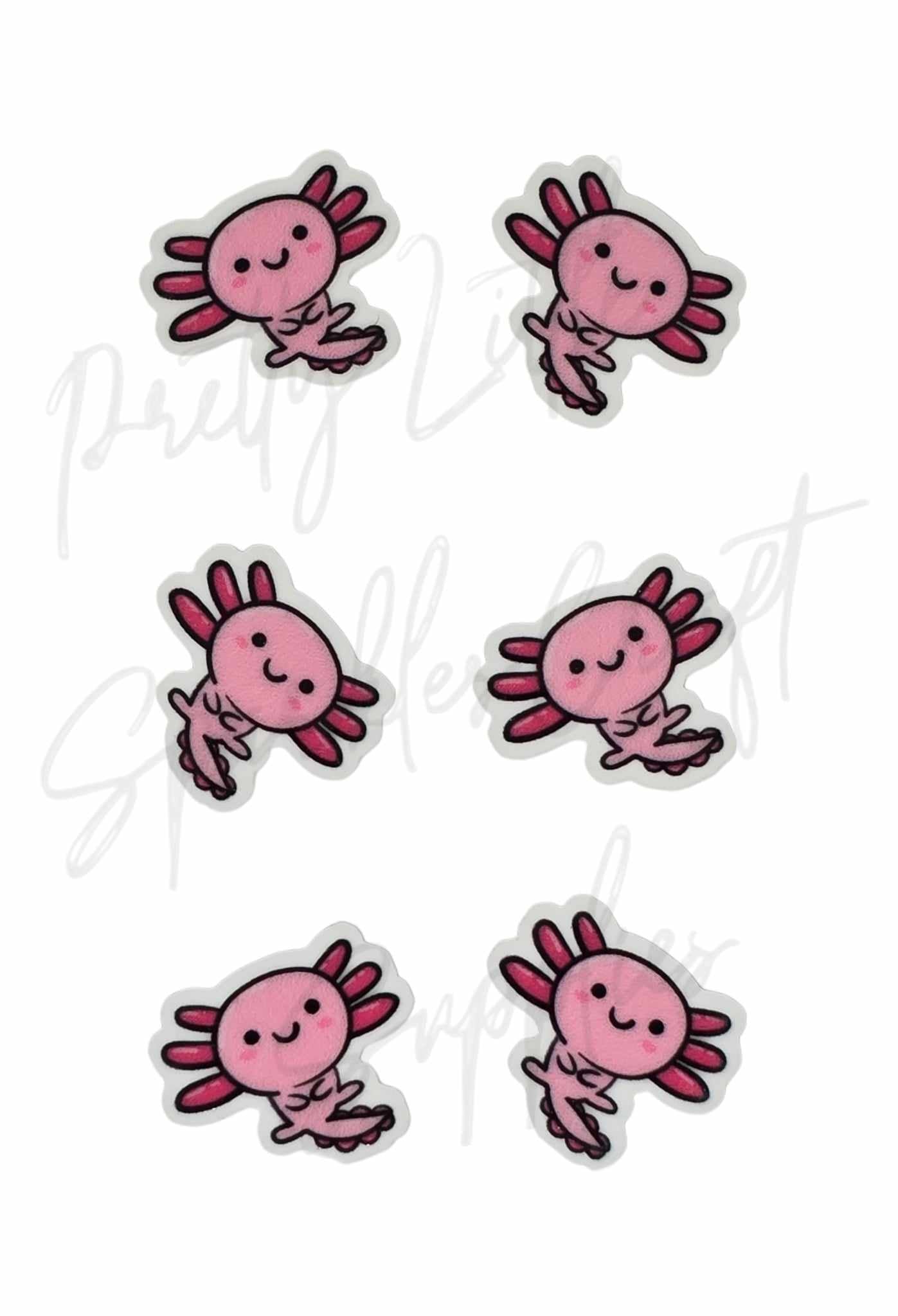 Axolotl