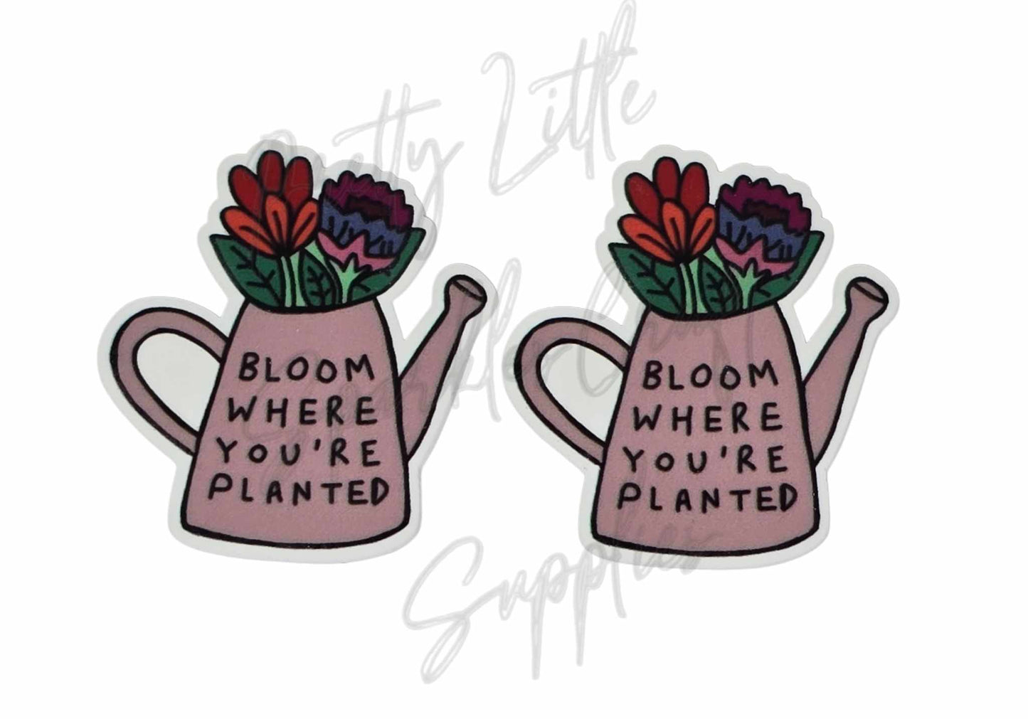 Bloom Where You're Planted