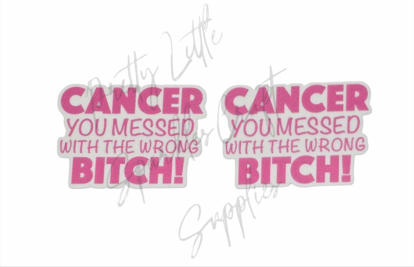 Breast Cancer - Cancer You Messed With The Wrong B*tch