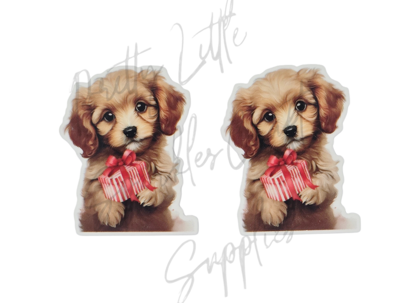 Christmas Present Cavoodle