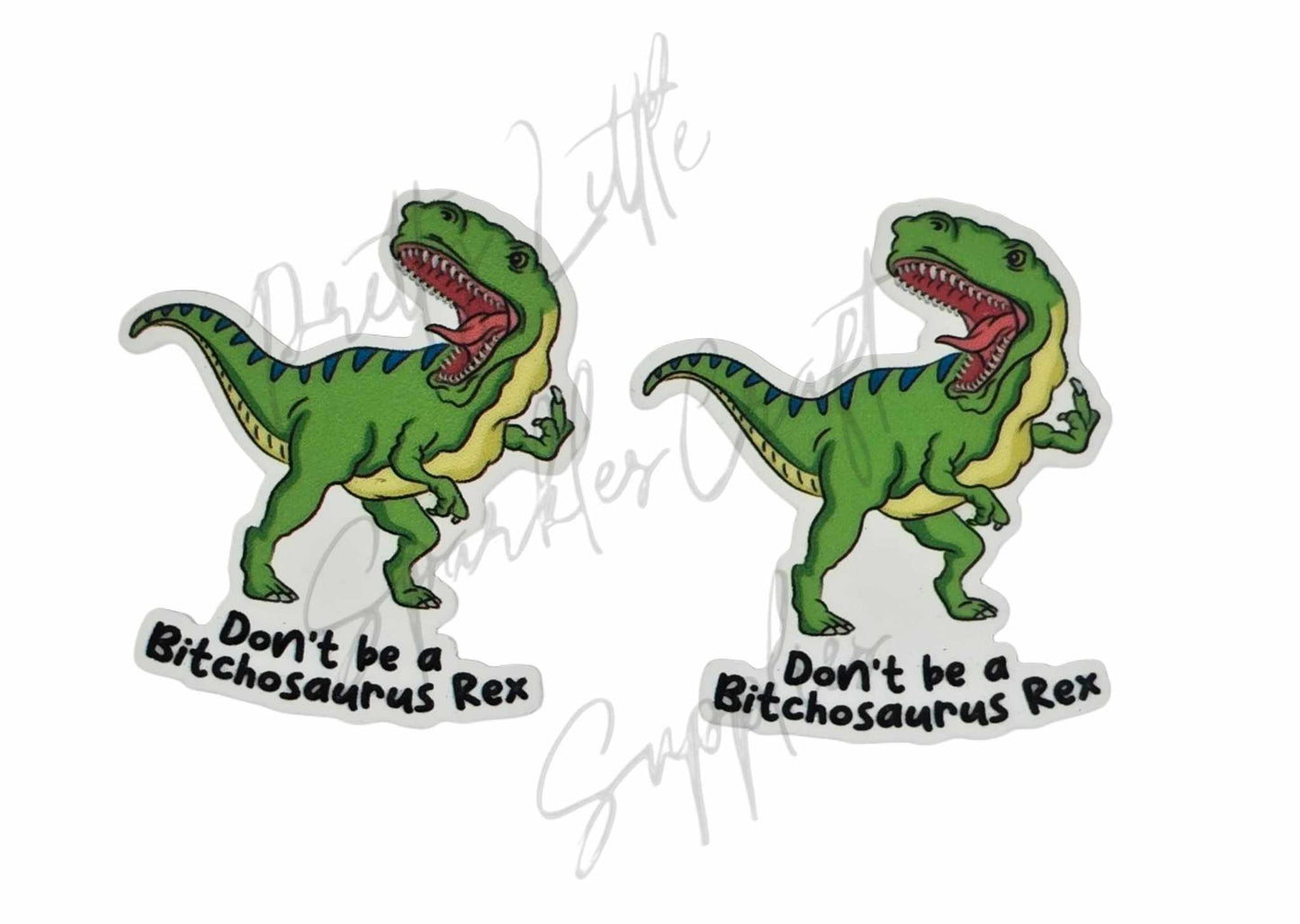 Don't Be A B*tchosaurus Rex