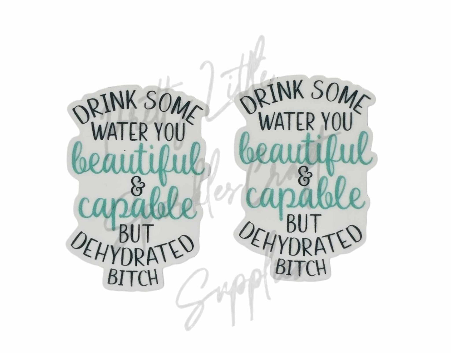 Drink Some Water You Beautiful & Capable But Dehydrated B*tch