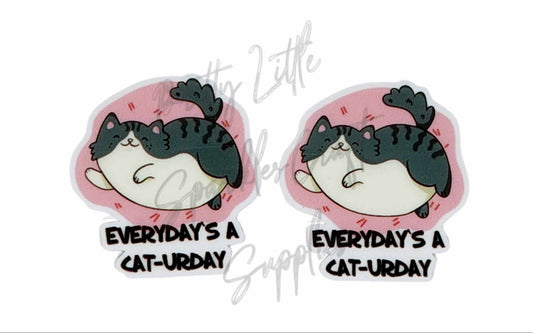 Everyday's A Cat-Urday