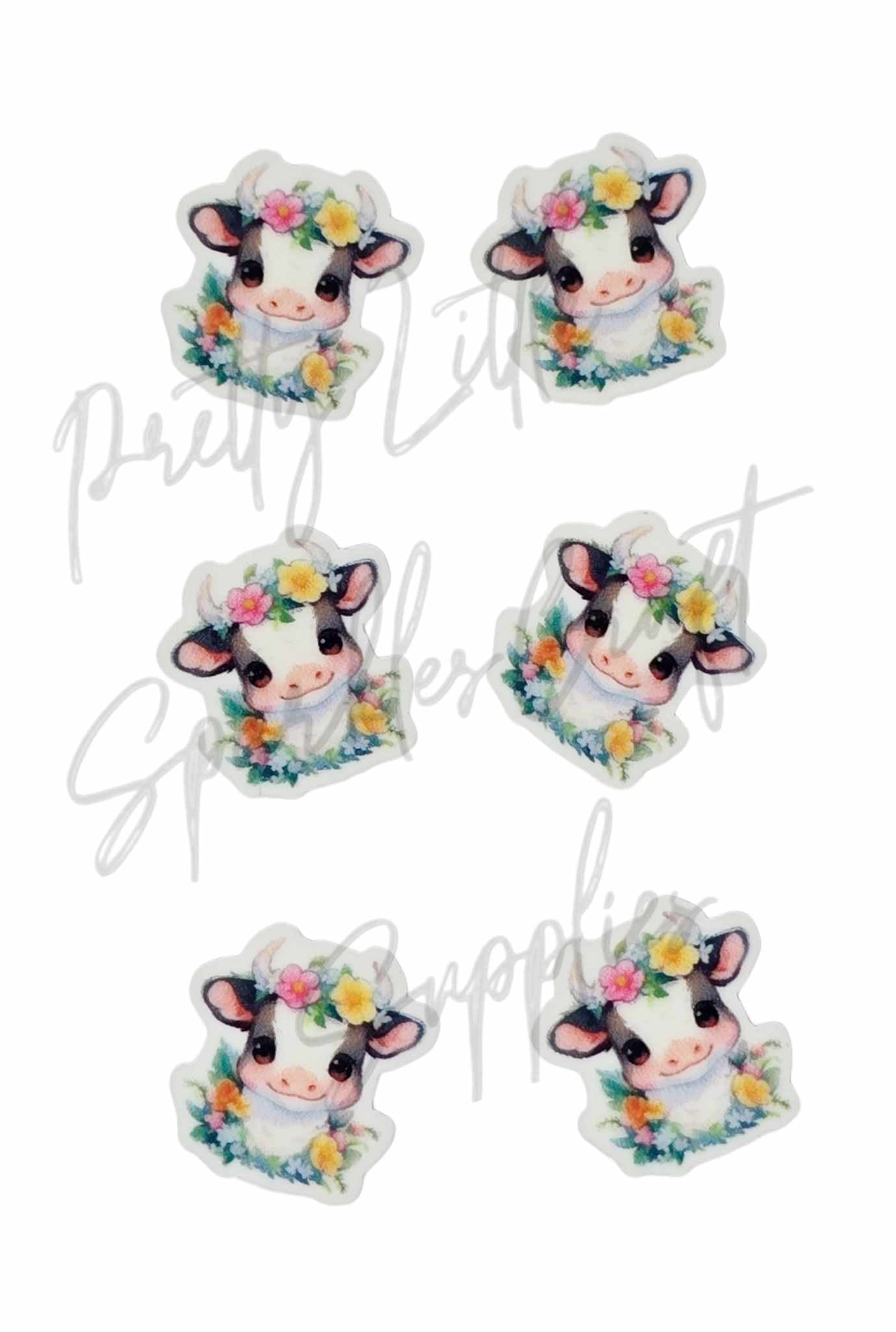 Flower Daisy Cow 2