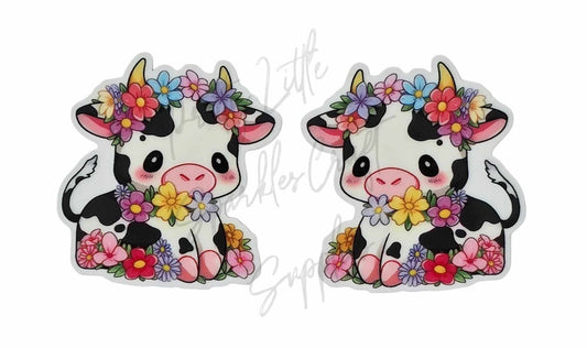 Flower Daisy Cow
