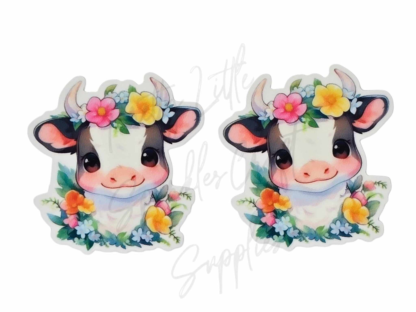 Flower Daisy Cow 2