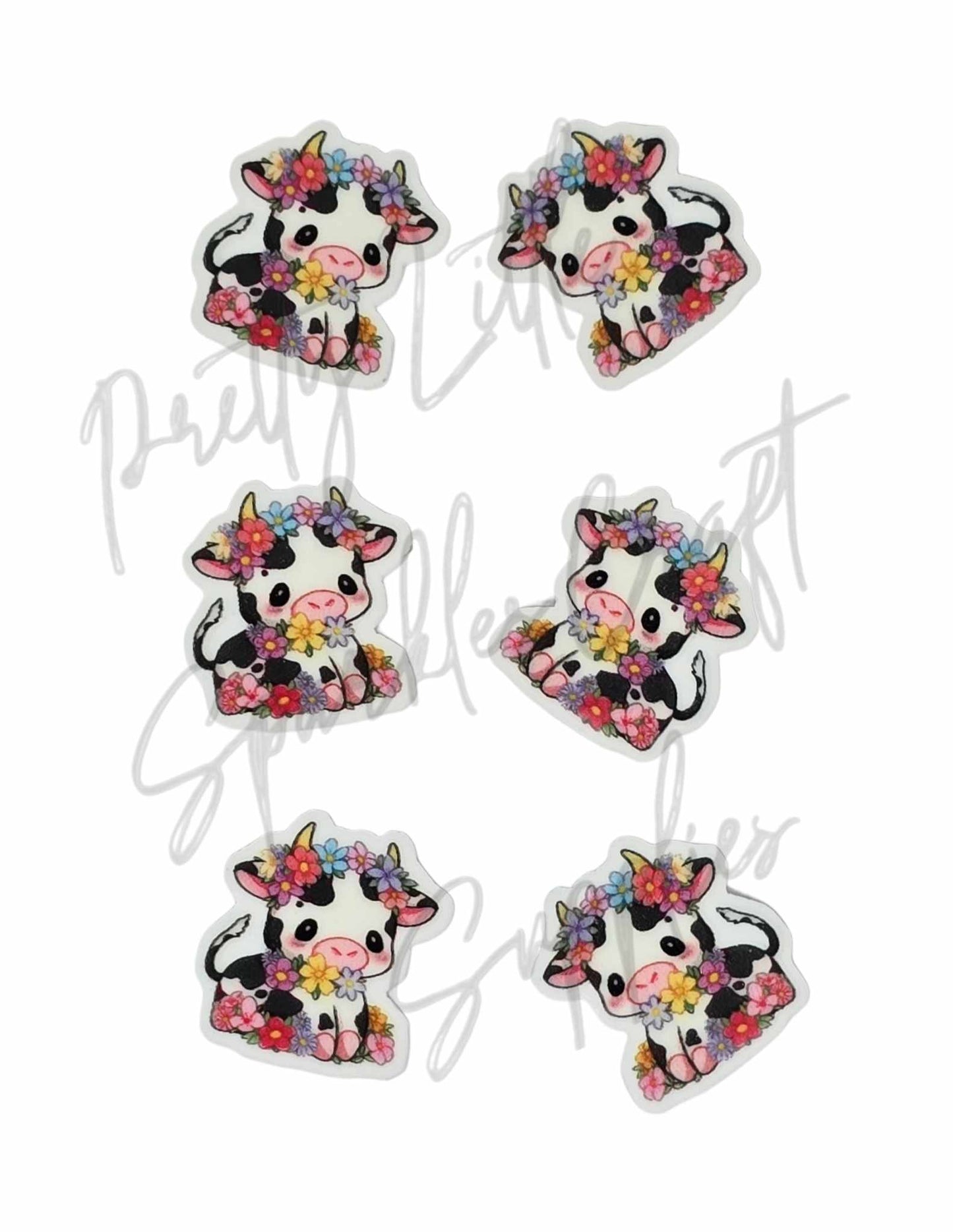 Flower Daisy Cow