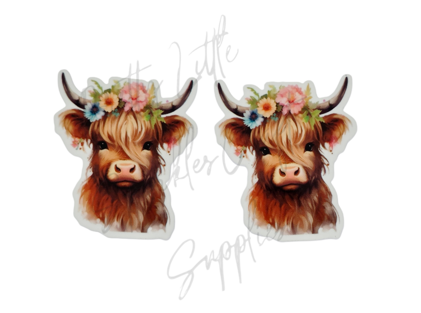 Flower Highland Cow