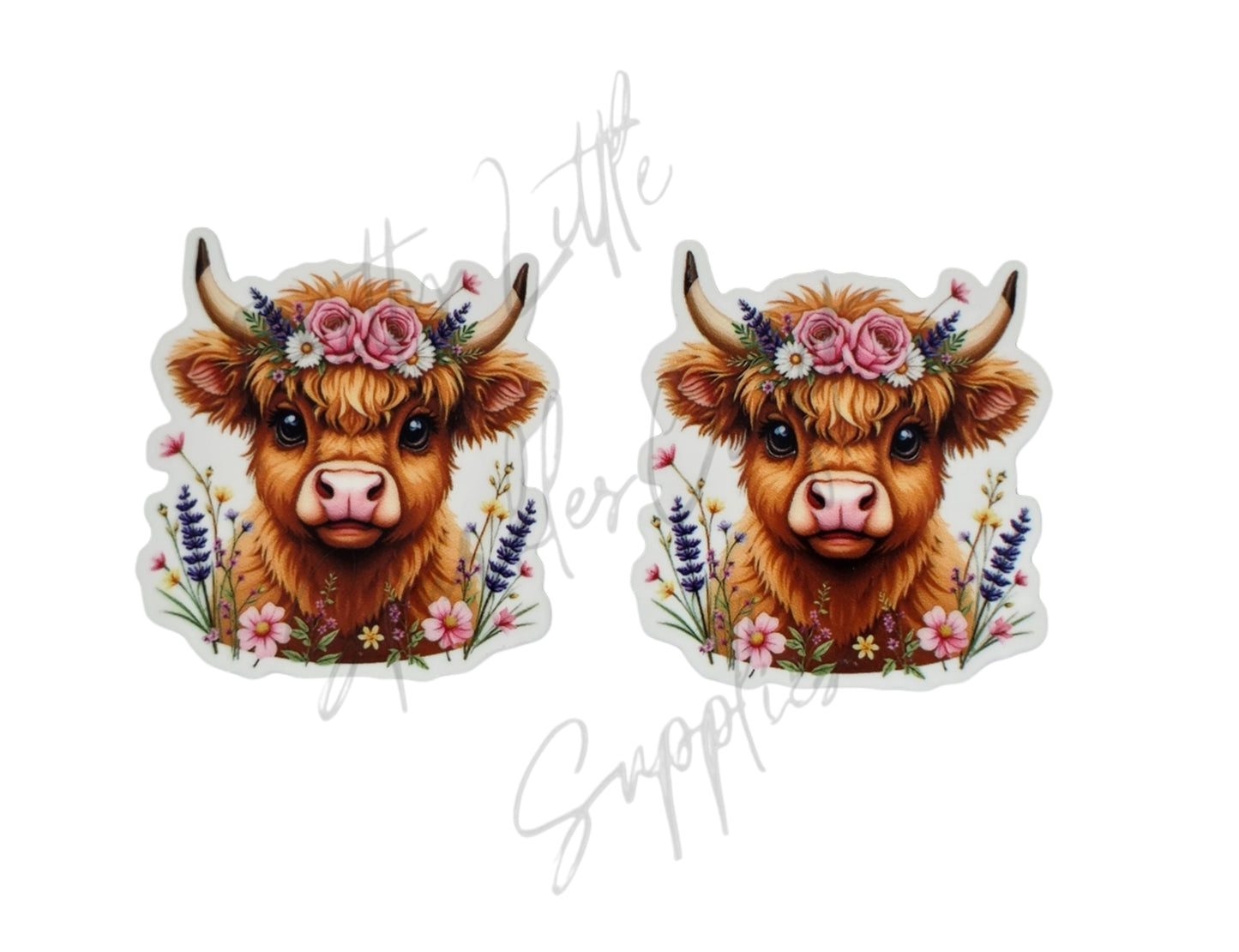 Flower Highland Cow