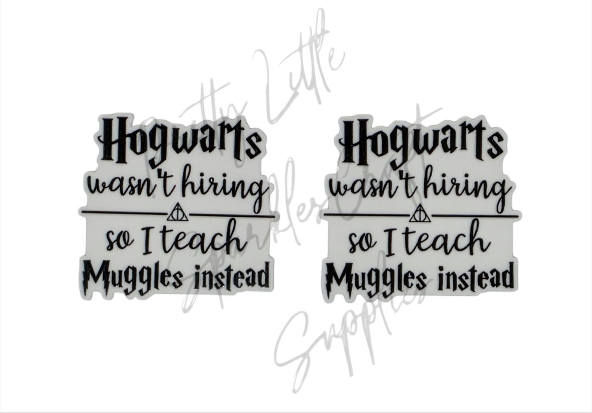 Hogwarts Wasn't Hiring So I Teach Muggles Instead