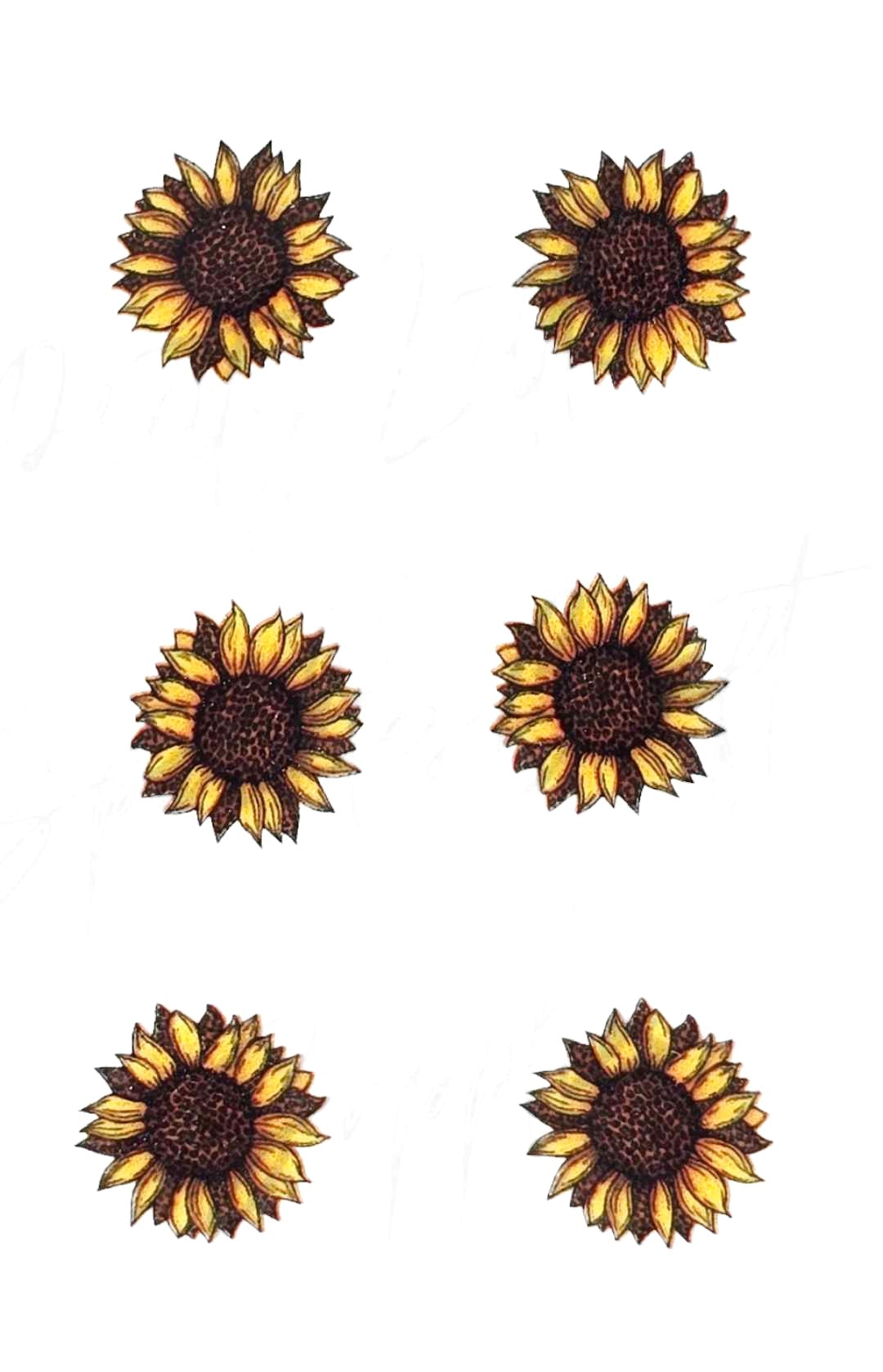 Leopard Sunflower 2