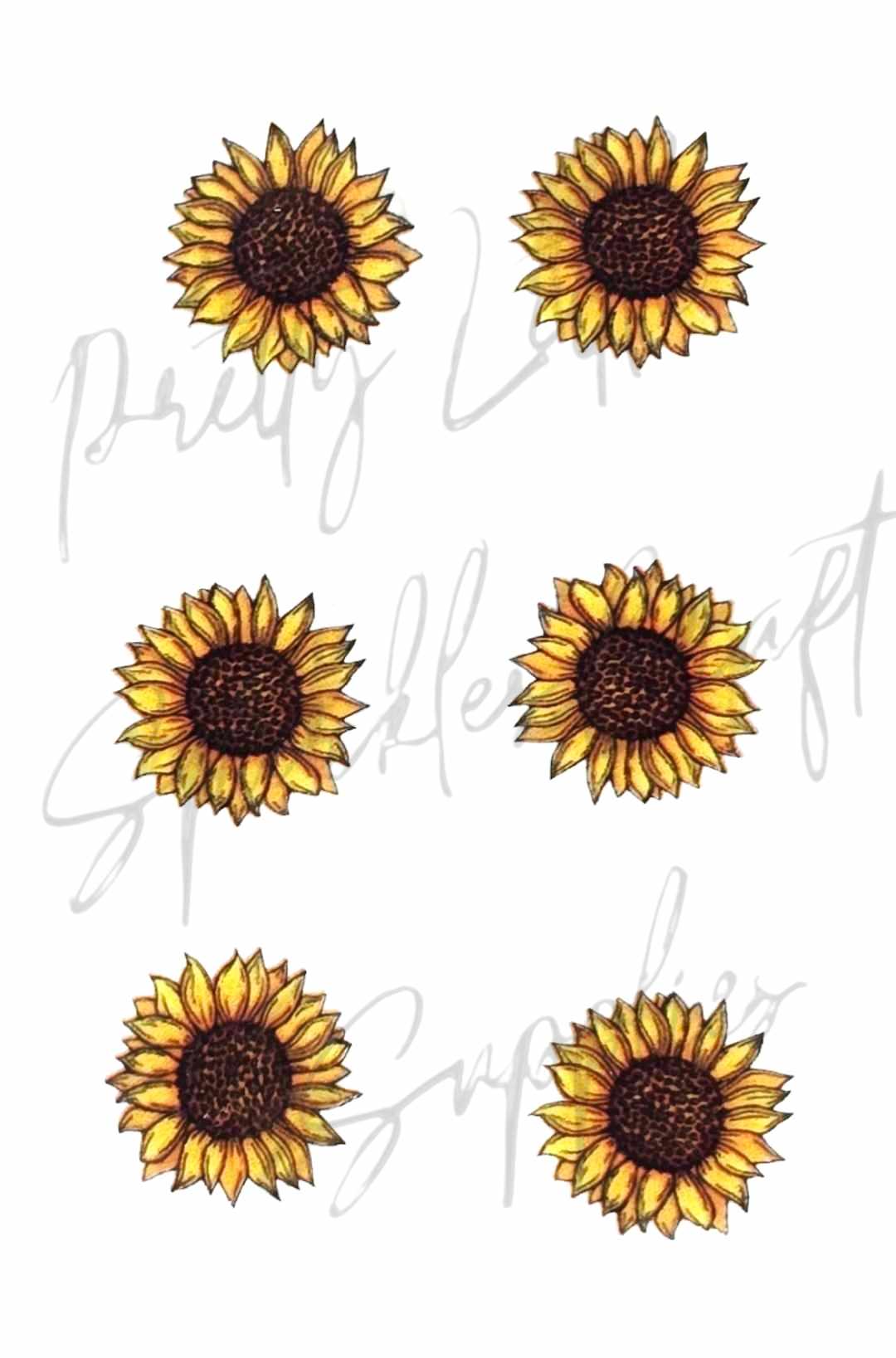 Leopard Sunflower