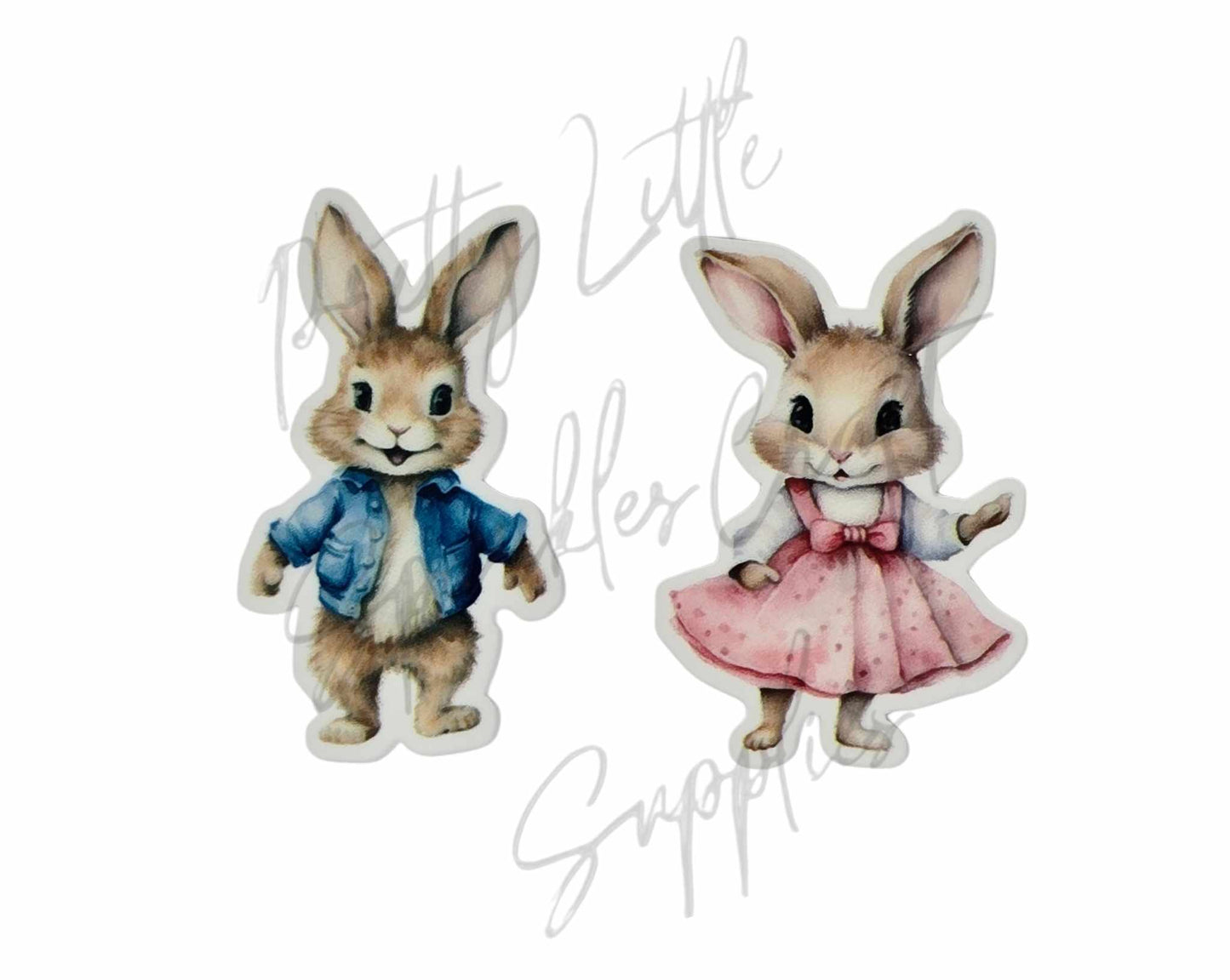 Peter Rabbit & Flopsy