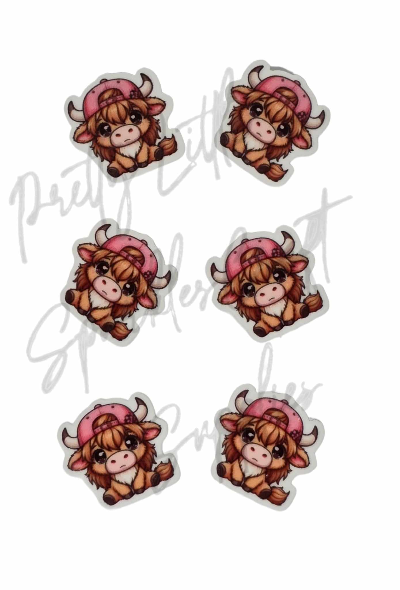 Pink Cap Highland Cow