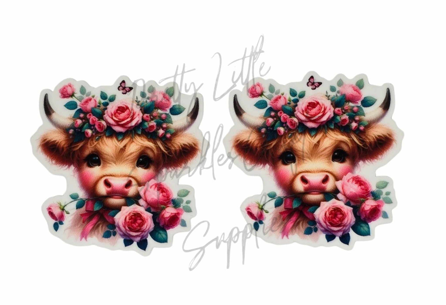 Pink Roses Highland Cow