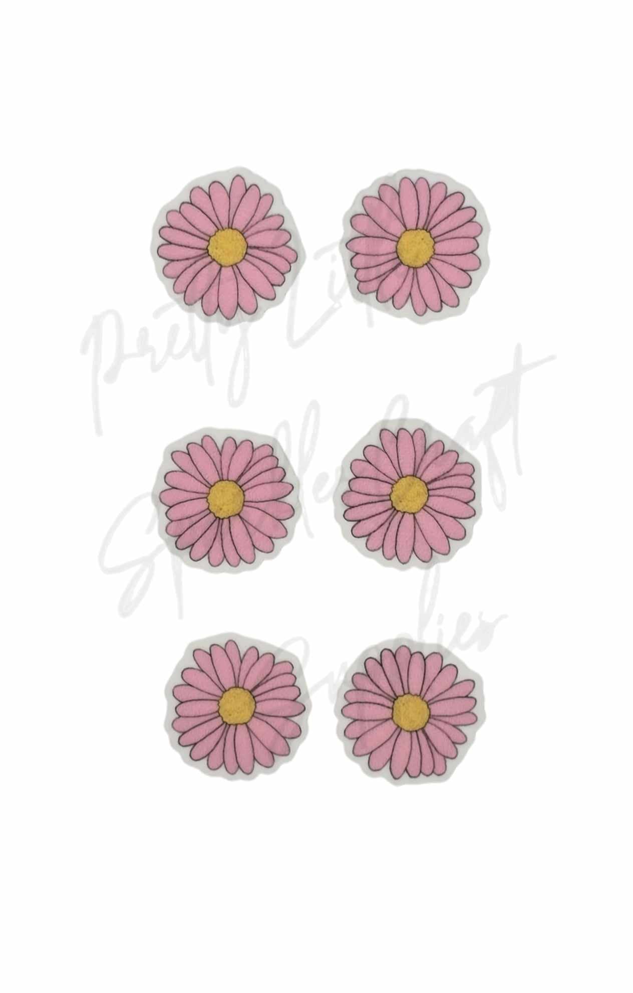 Pink Daisy Flower