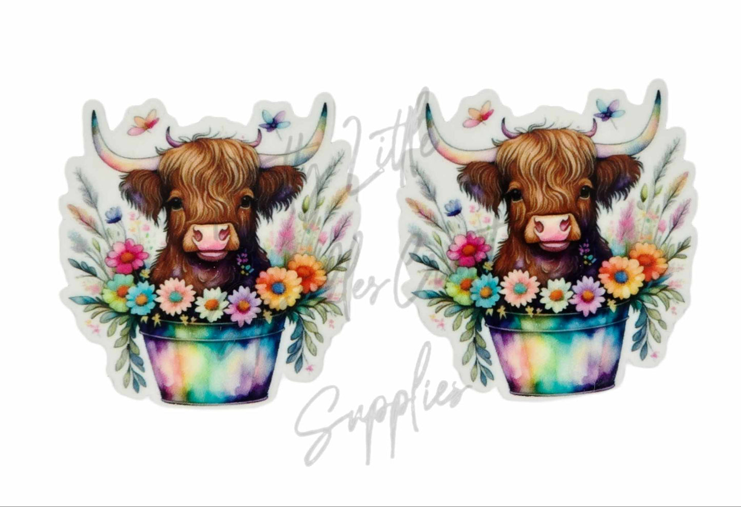 Rainbow Flower Highland Cow