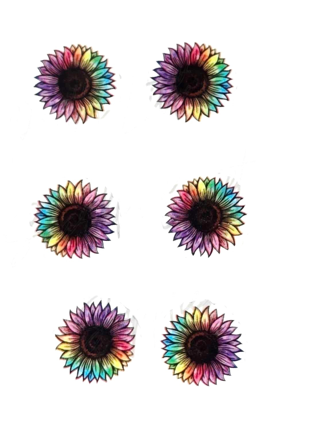 Rainbow Sunflower