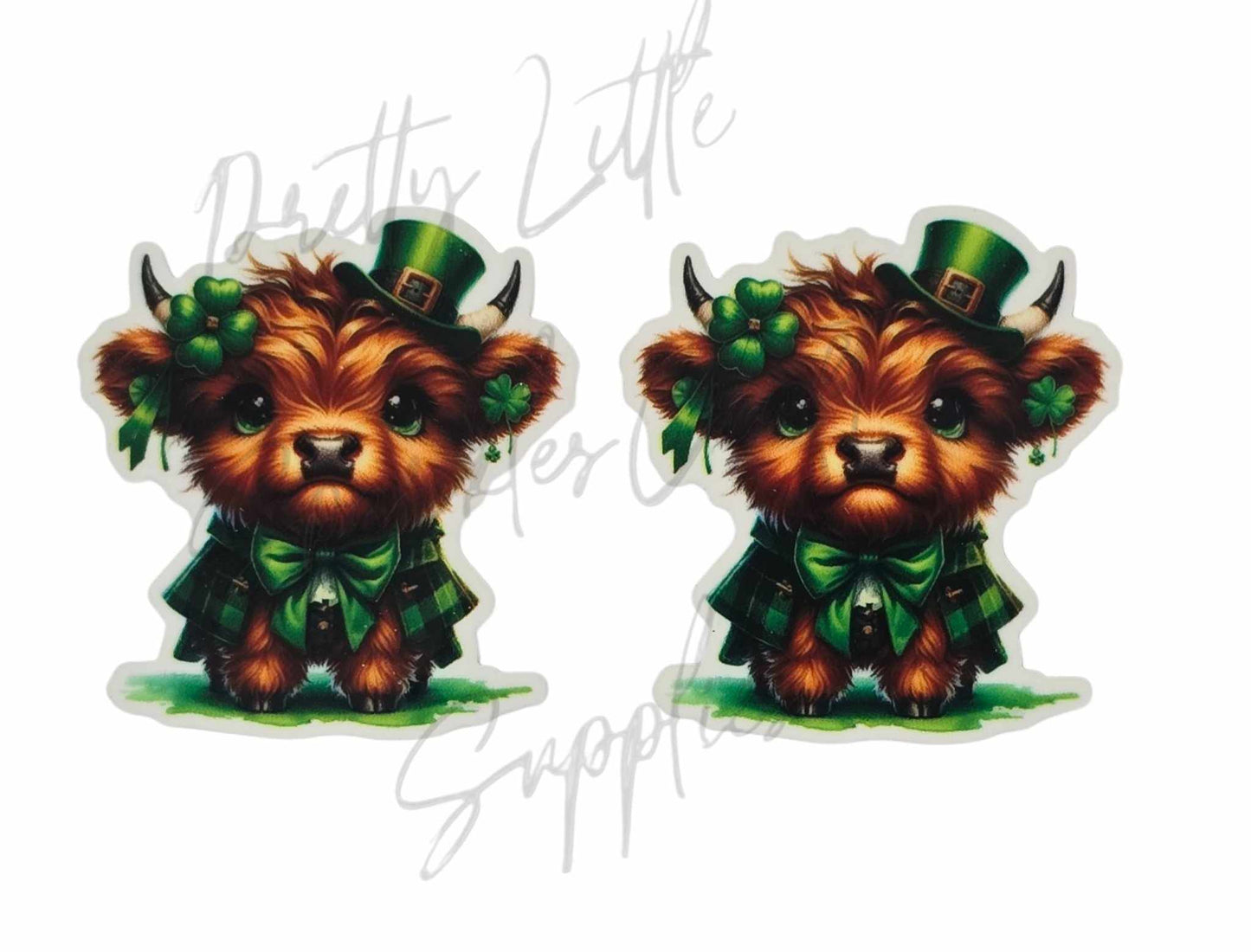 St Pat's Highland Cow