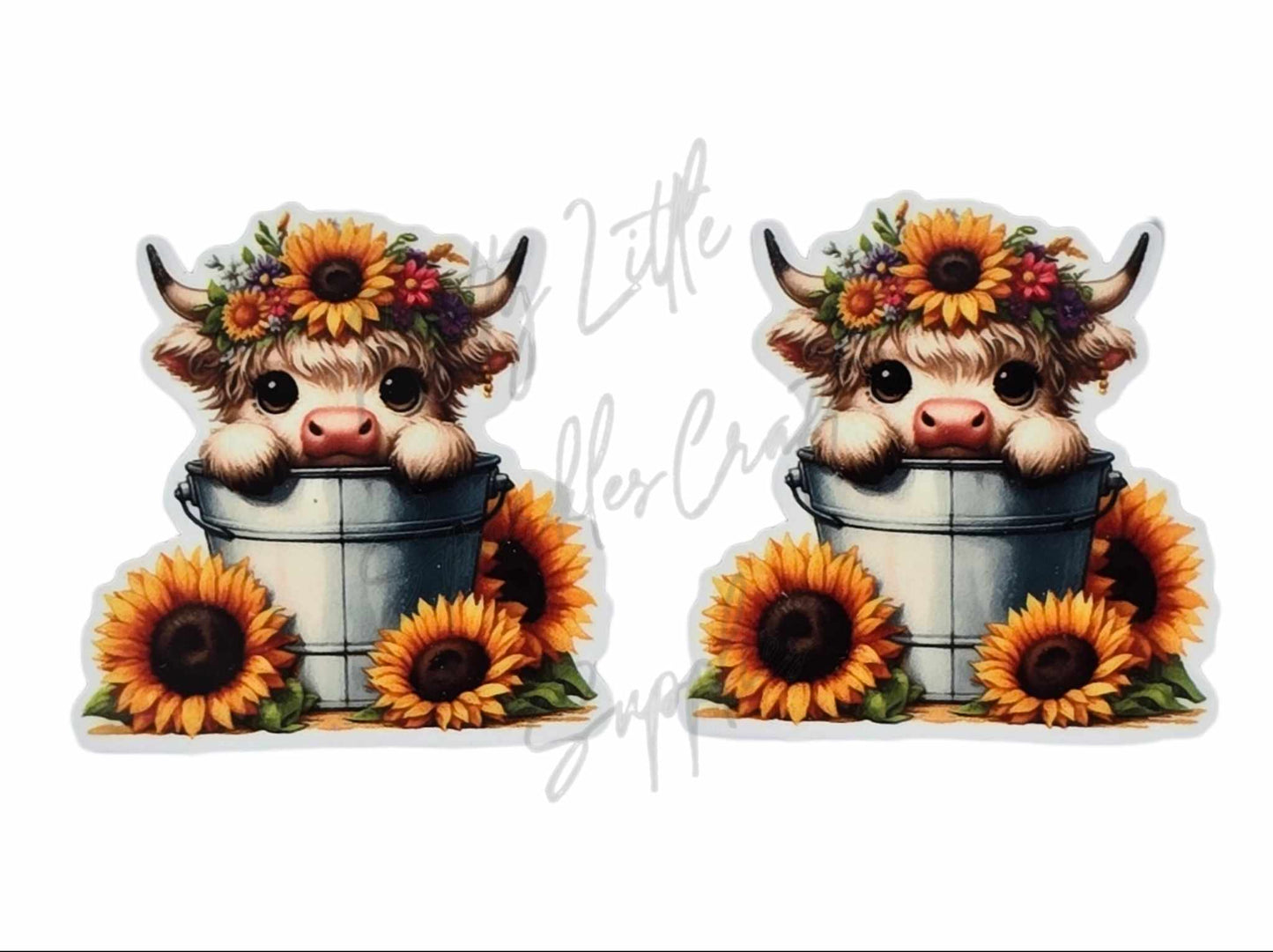 Sunflower Baby Highland Cow