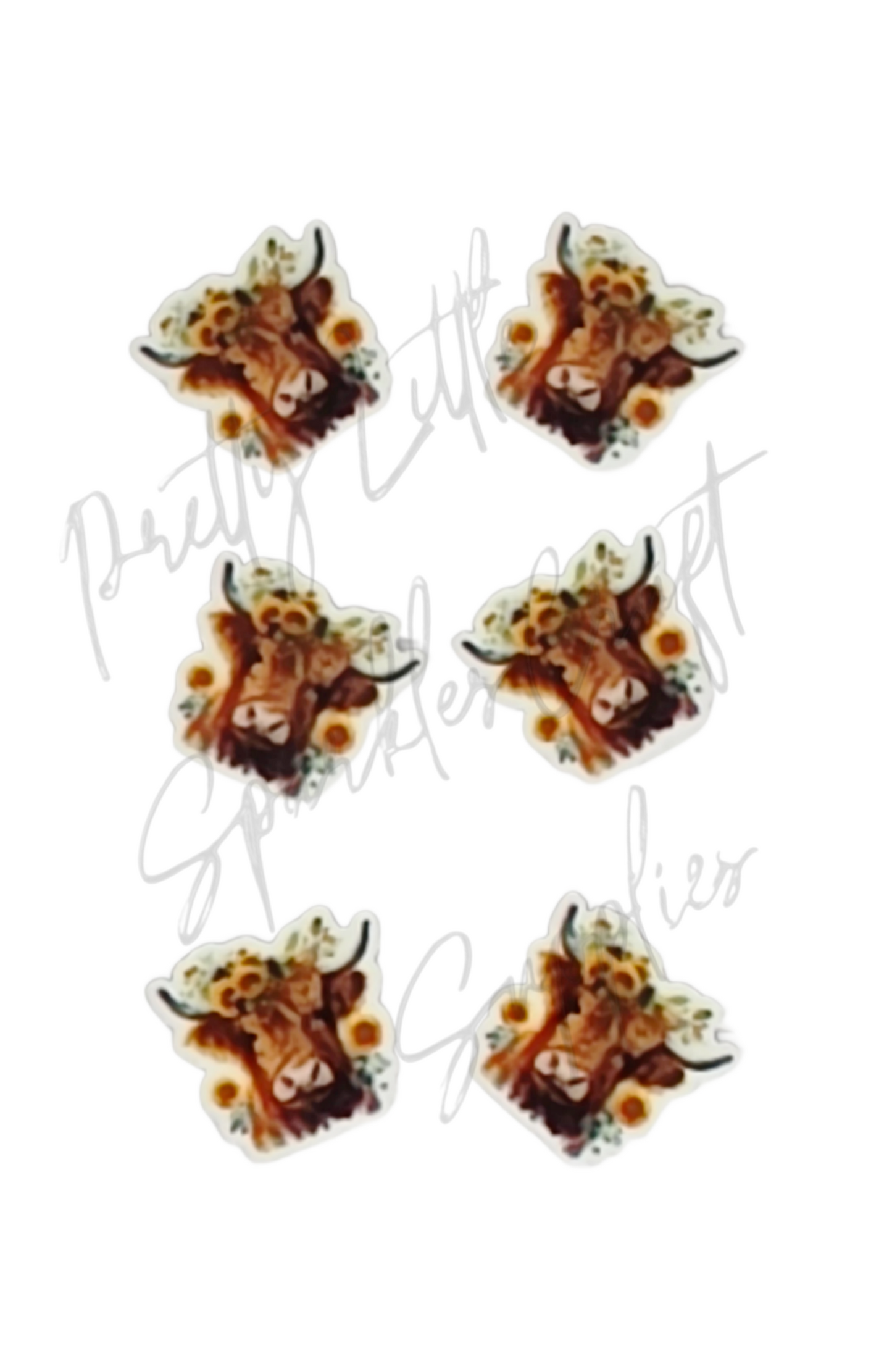 Sunflower Highland Cow
