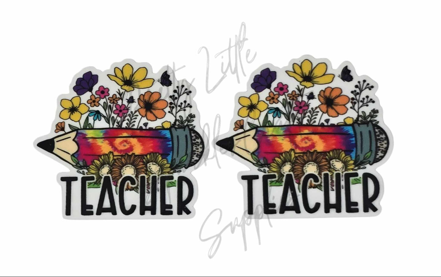 Teacher