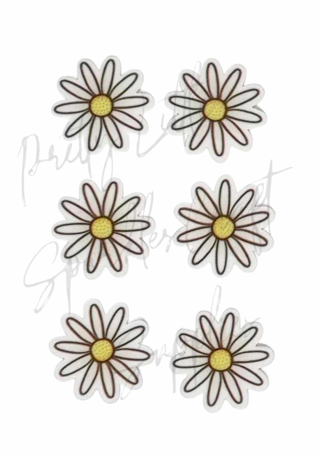 White Daisy