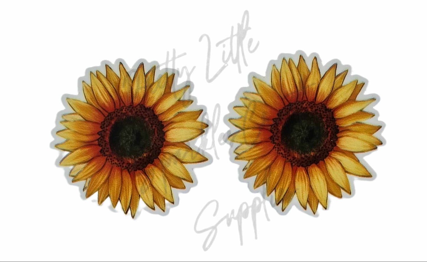 Yellow Sunflower