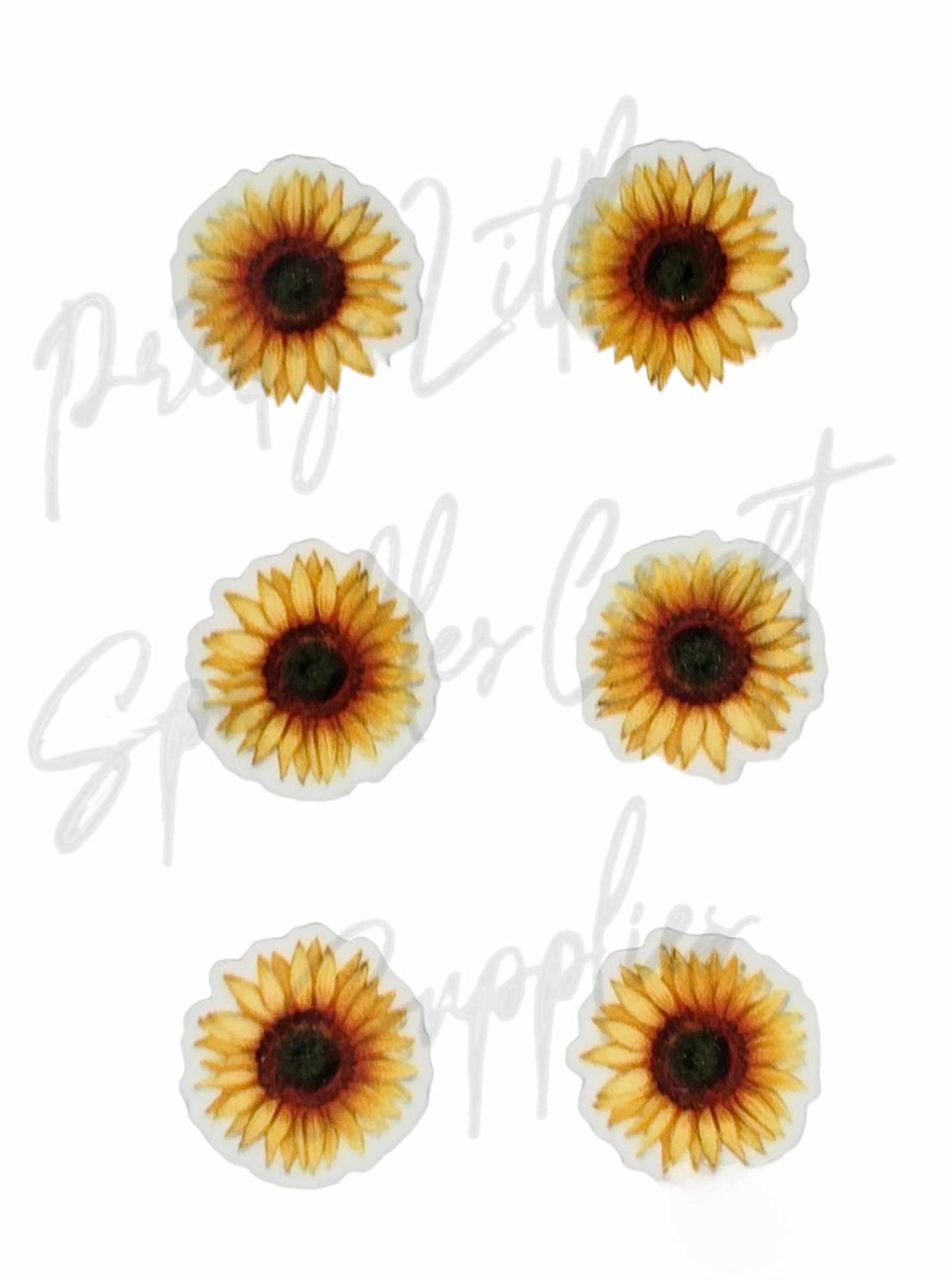 Yellow Sunflower