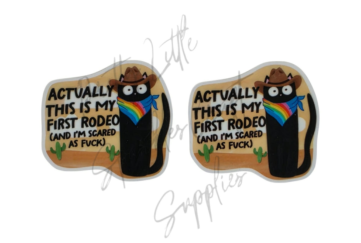 Actually This Is My First Rodeo (And I'm Scared as F*ck)