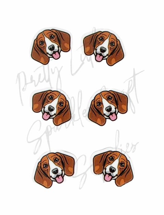 Beagle