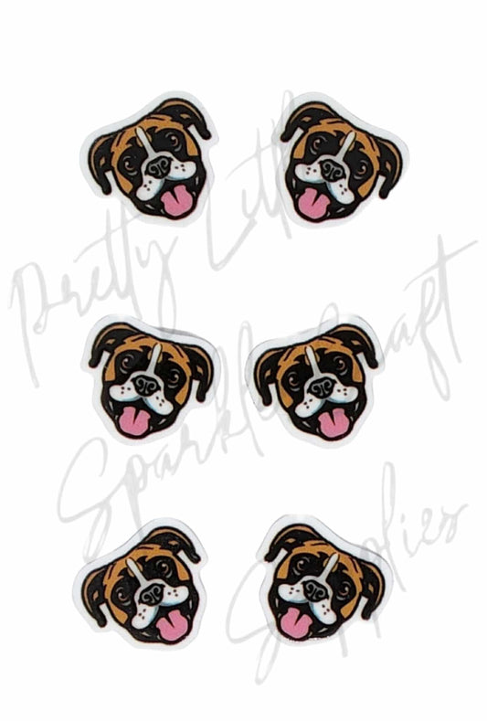 Boxer