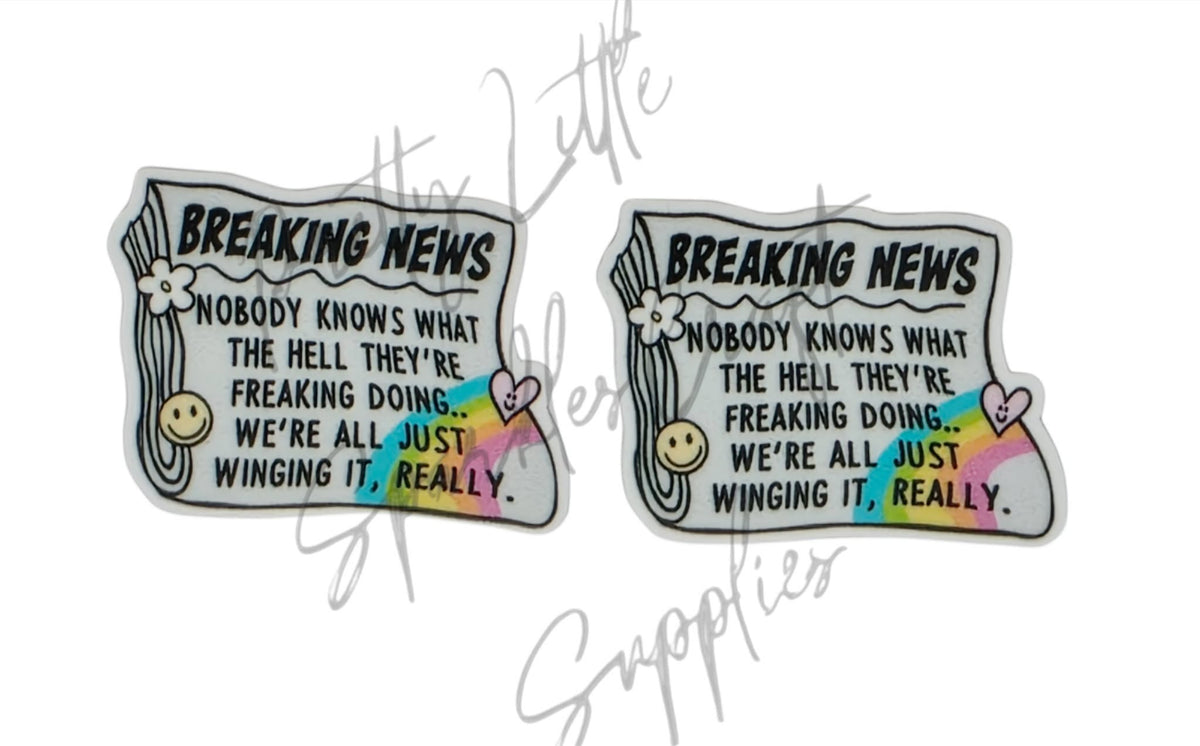 Breaking News Nobody Knows What The Hell They're Freaking Doing