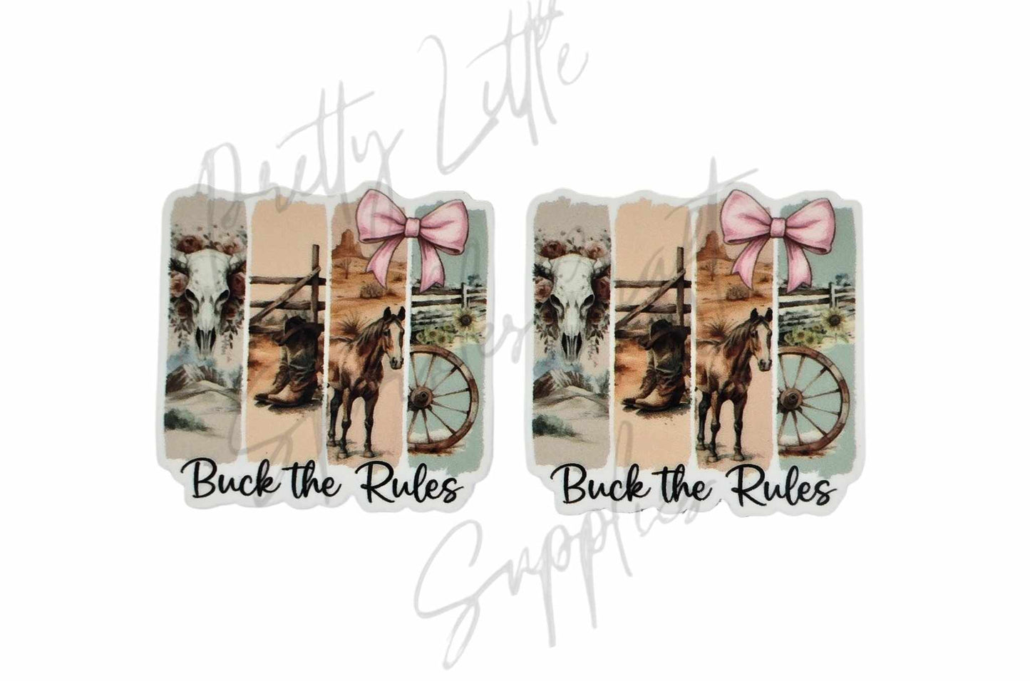 Buck The Rules