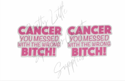 Breast Cancer - Cancer You Messed With The Wrong B*tch