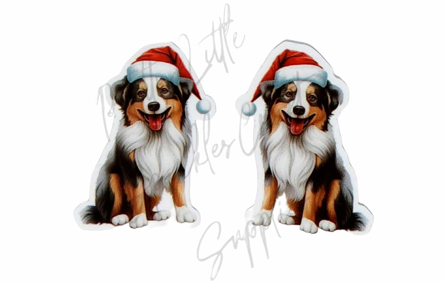 Christmas Australian Shepherd Dog