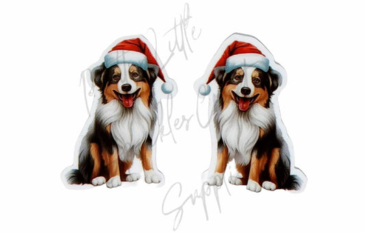 Christmas Australian Shepherd Dog