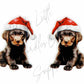 Christmas Black Labrador Dog