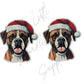 Christmas Boxer Dog