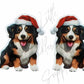 Christmas Burmese Mountain Dog