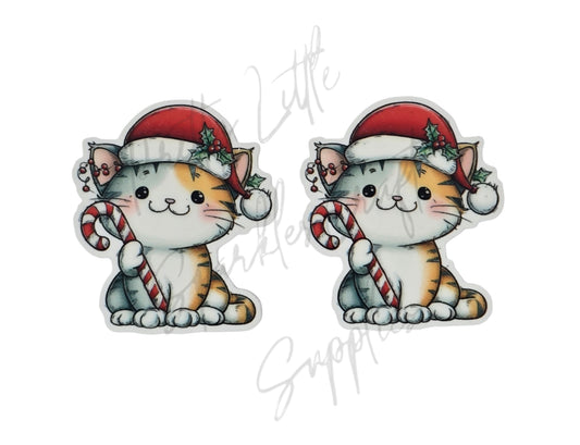 Christmas Candy Cane Cat