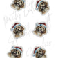 Christmas Cavoodle