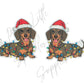 Christmas Lights Dachshund Dog