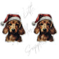 Christmas Dachshund Dog