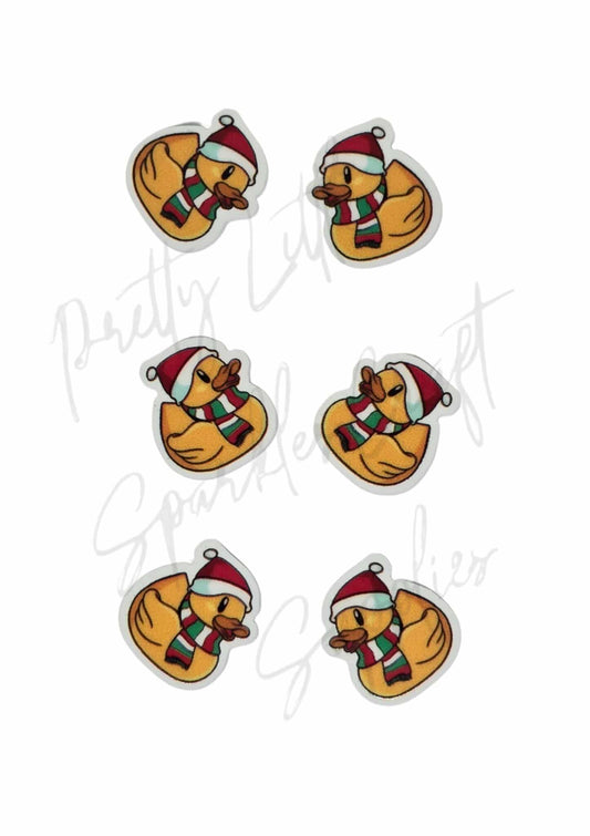 Christmas Duck
