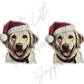Christmas Labrador Dog