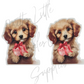 Christmas Present Cavoodle