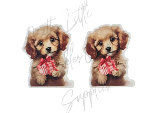Christmas Present Cavoodle