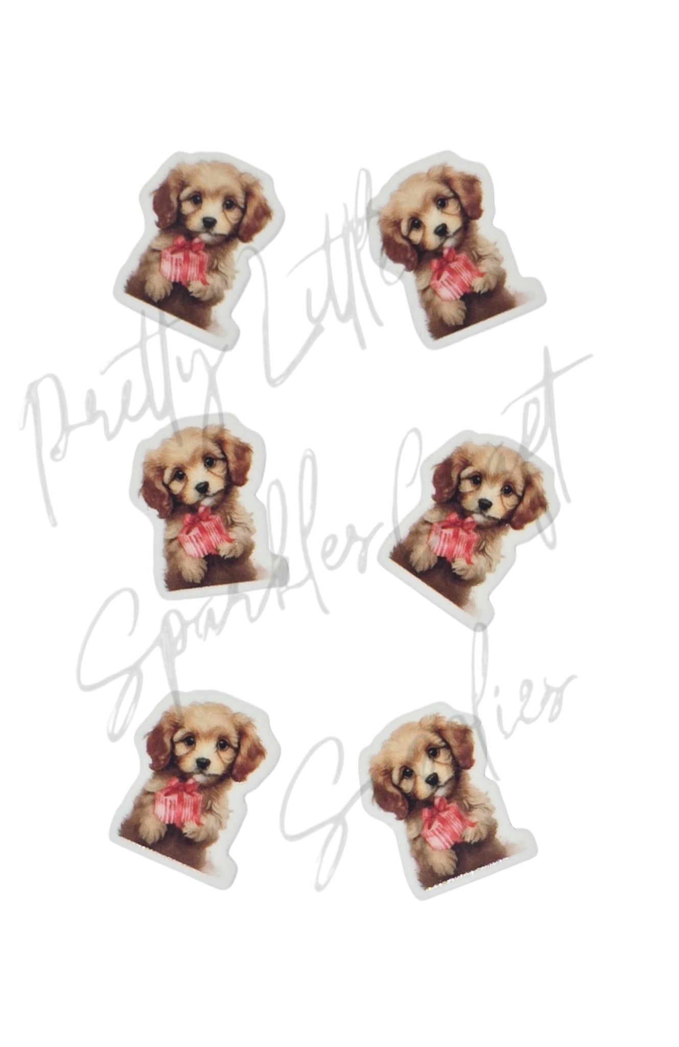 Christmas Present Cavoodle